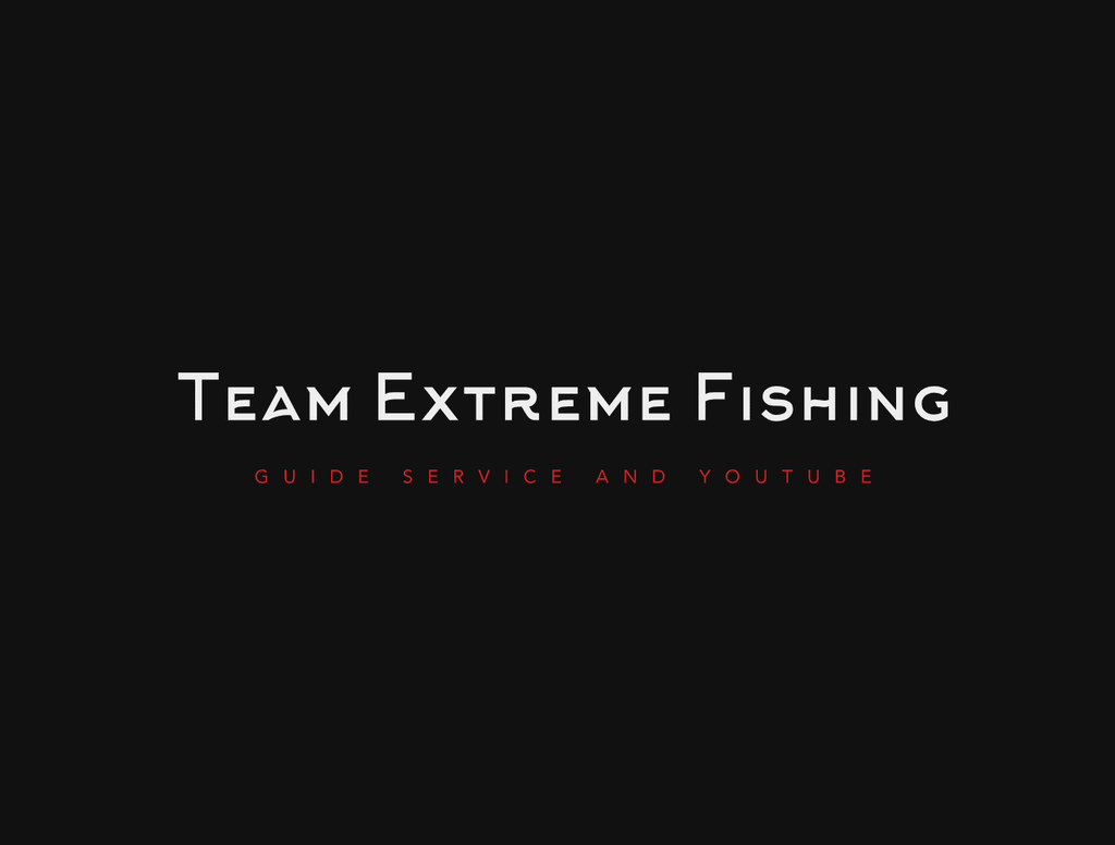Team Extreme Guide Service Logo